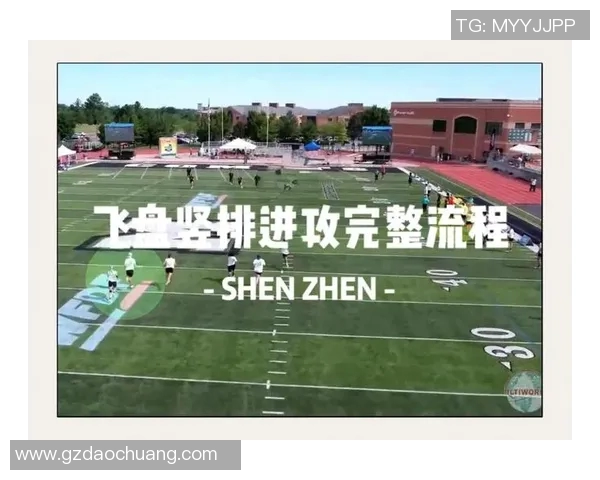 杭州飞盘队与北京飞盘队赛后技术分析与战术探讨